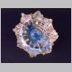 wall_cave_ flower.jpg